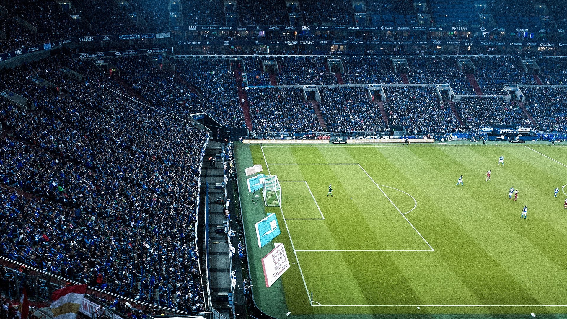 森林狼主场宣传主题聚焦团队共赢理念，森林狼拓展训练基地